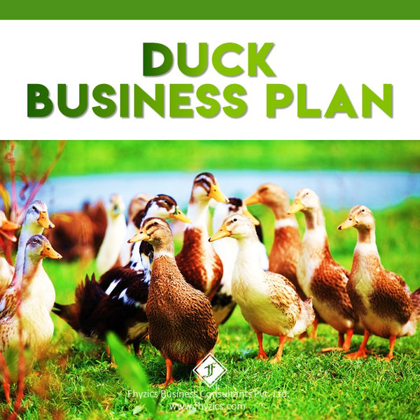 Duck-Business-Plan