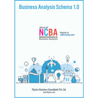 Business Analysis Schema v1.0