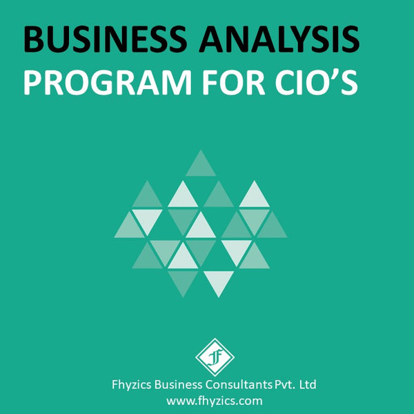 Business Analysis Program for CIOs