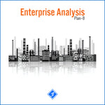 Enterprise Analysis Plan B