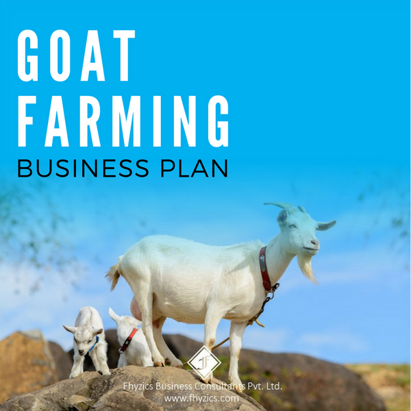 Goat-Farming-Business-Plan