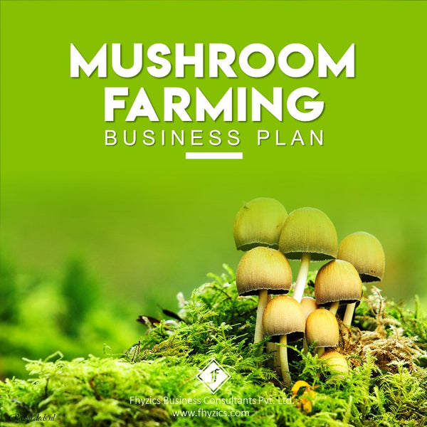 mushroom business plan in india