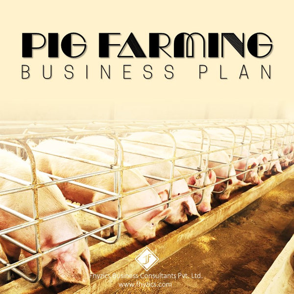 Pig-Farming-Business-Plan