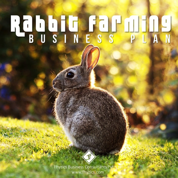 rabbit farming business plan pdf south africa