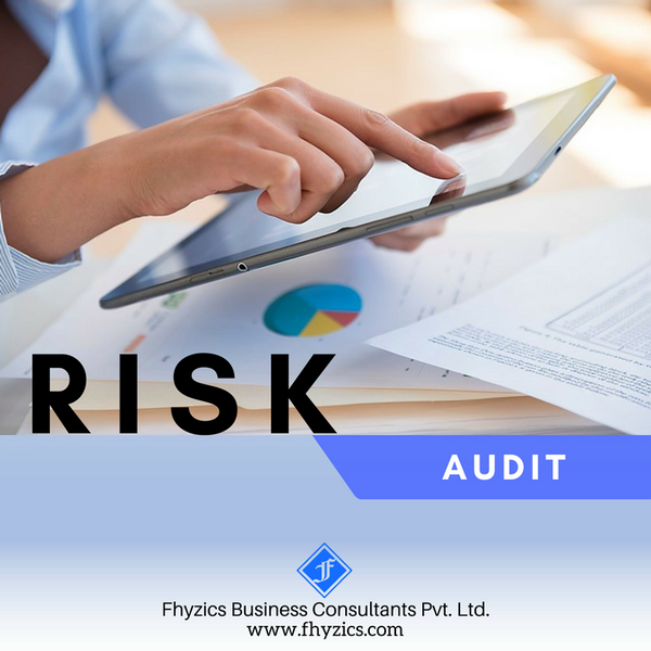 Risk Audit