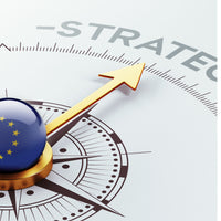 EDP on Strategic Programme Leadership