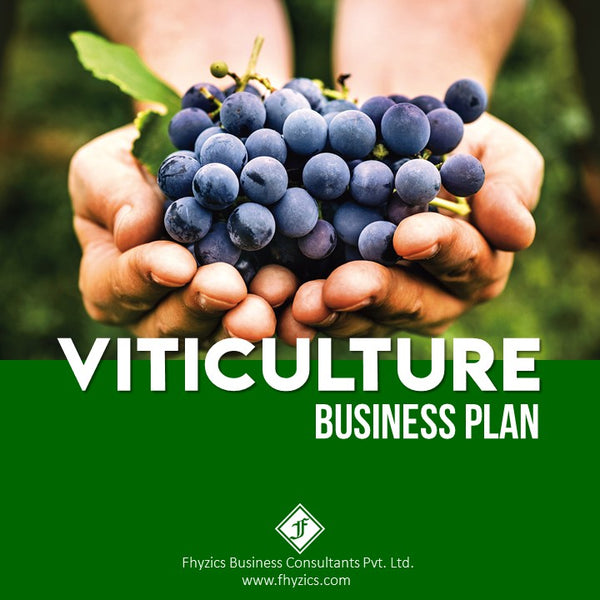 Viticulture-Business-Plan